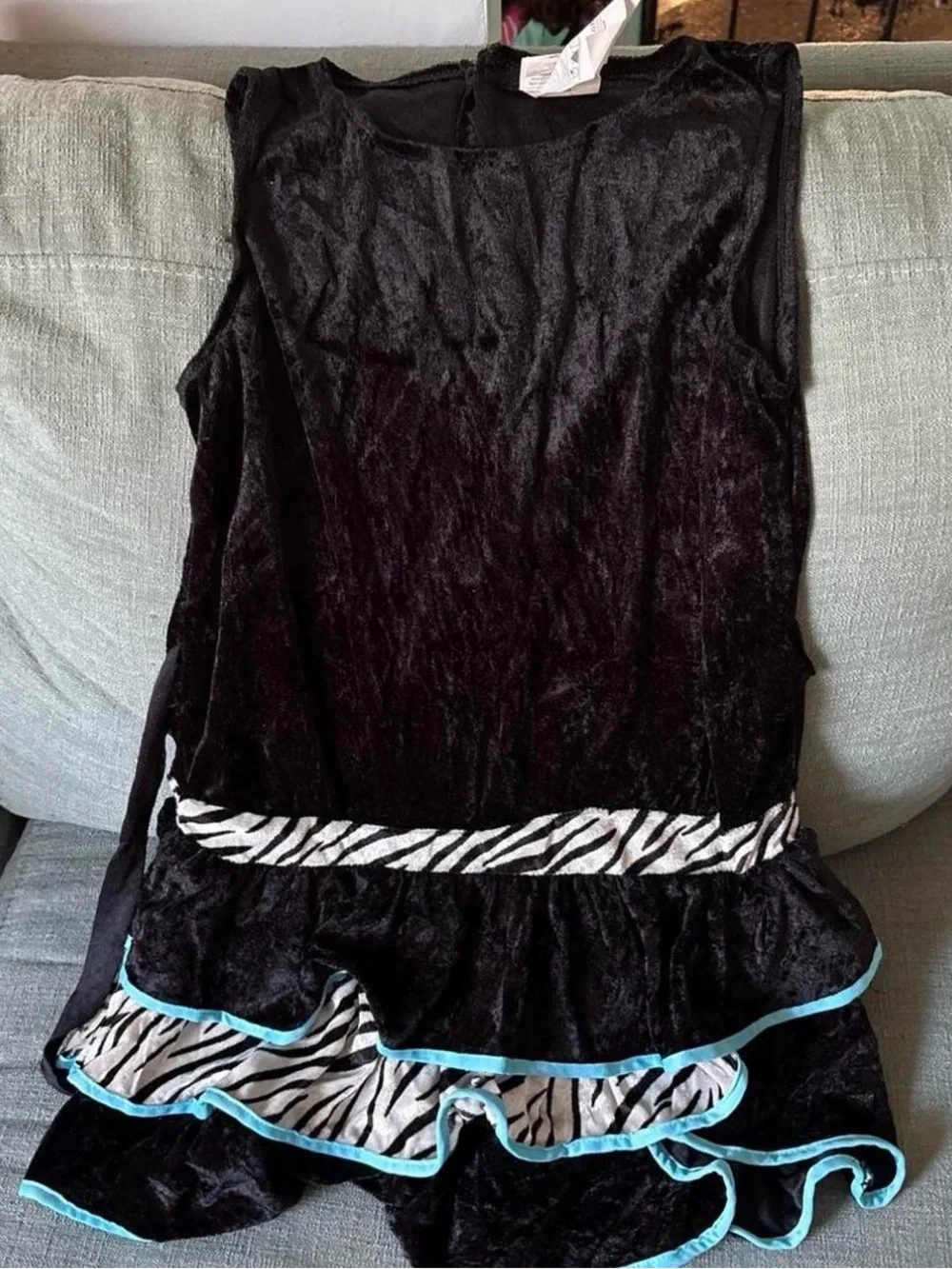 Rubie's Zebra Costume Dress in Black, White and Teal Trim
